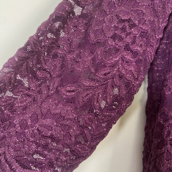 Alex Evenings Woman 16W Plum Lace Sequin Bodice Chiffon Mother Of Bride Dress - Picture 5 of 16